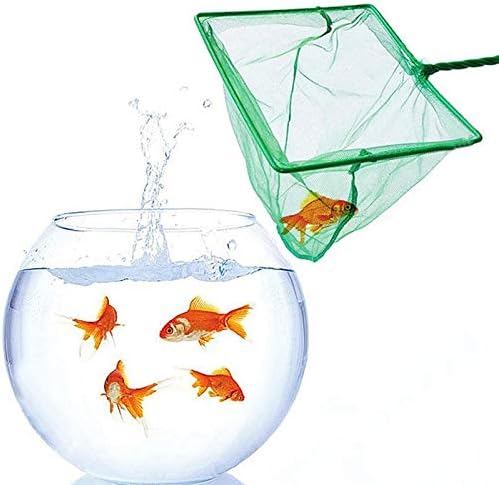 2 Pack Aquarium Fish Nets, DSSPORT 4 Inch Small Mesh Fish Catch Nets with Plastic Handle Green (Pine Green) - Image 6
