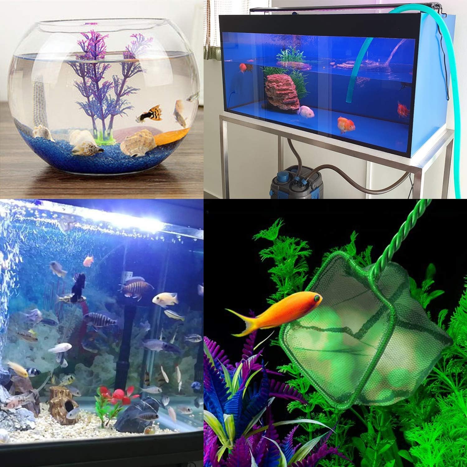 2 Pack Aquarium Fish Nets, DSSPORT 4 Inch Small Mesh Fish Catch Nets with Plastic Handle Green (Pine Green) - Image 7